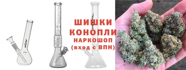 стафф Новодвинск