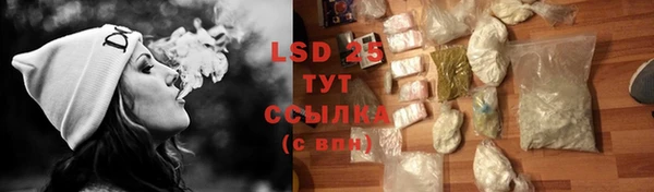 сатива Новокубанск