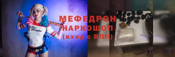 сатива Новокубанск