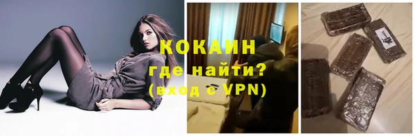 сатива Новокубанск