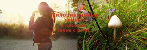 крисы Тавда