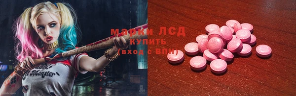 сатива Новокубанск